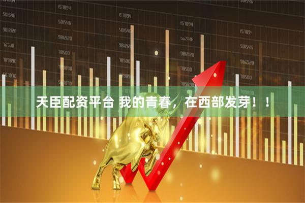 天臣配资平台 我的青春，在西部发芽！！